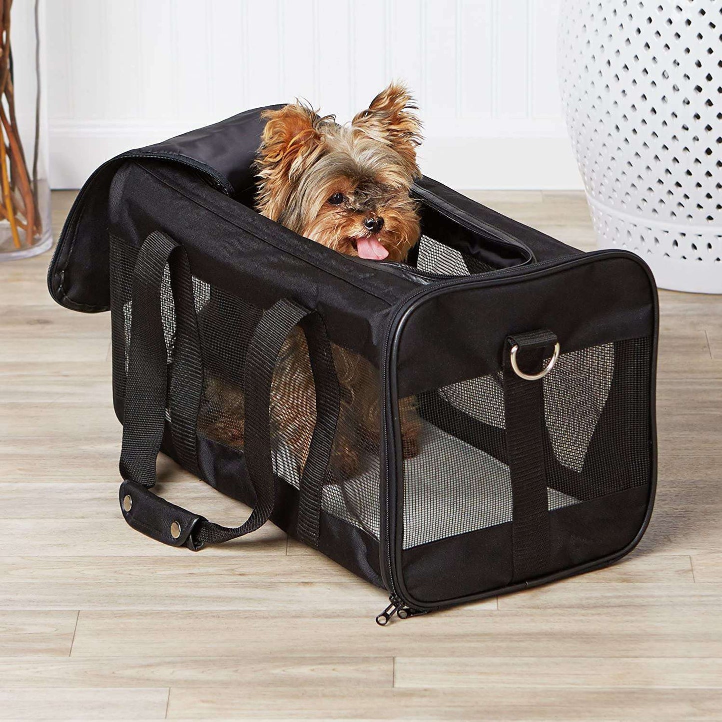 Portable Pet Carrier Bag - Exactly Bliss