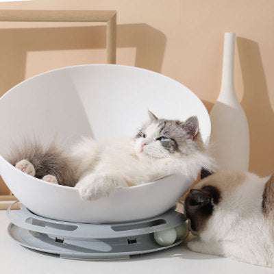 PURRfect Twist - Exactly Bliss