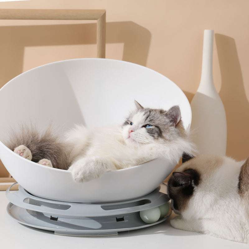 PURRfect Twist - Exactly Bliss